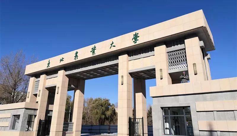 东北农业大学