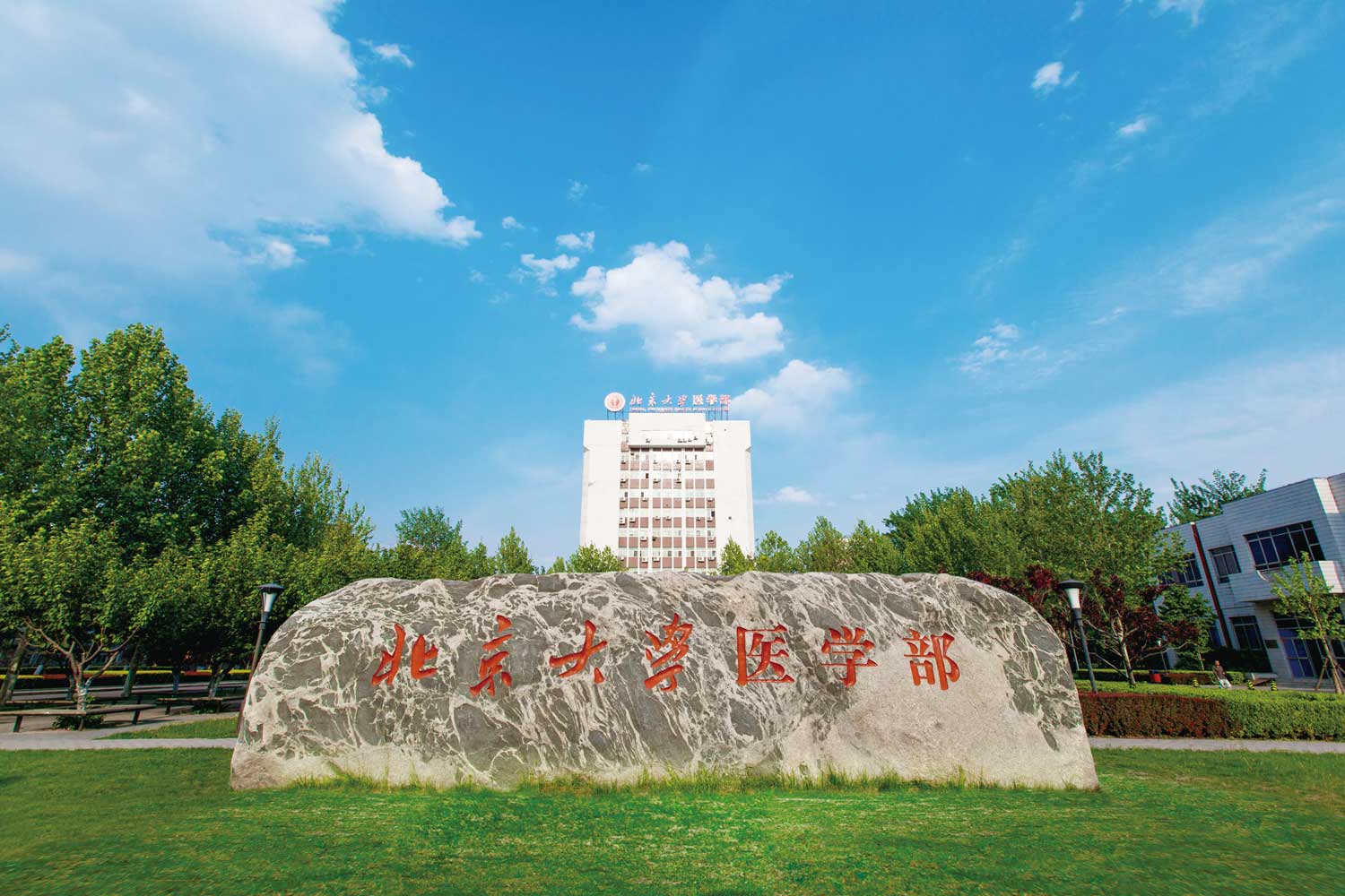 北京大学医学